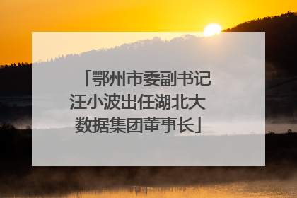 鄂州市委副书记汪小波出任湖北大数据集团董事长
