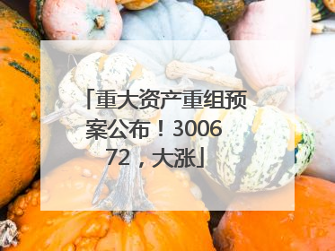 重大资产重组预案公布！300672，大涨