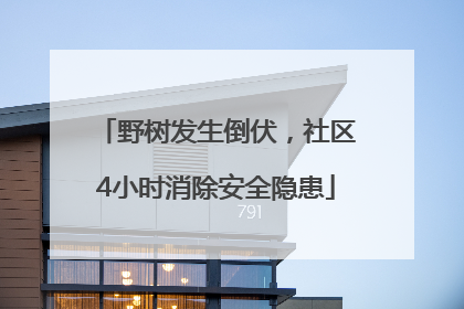野树发生倒伏，社区4小时消除安全隐患