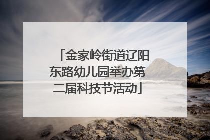金家岭街道辽阳东路幼儿园举办第二届科技节活动