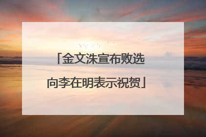 金文洙宣布败选 向李在明表示祝贺