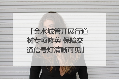 金水城管开展行道树专项修剪 保障交通信号灯清晰可见