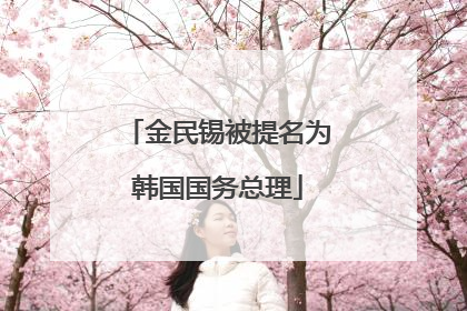 金民锡被提名为韩国国务总理