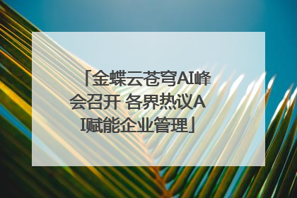 金蝶云苍穹AI峰会召开 各界热议AI赋能企业管理