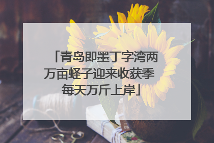 青岛即墨丁字湾两万亩蛏子迎来收获季 每天万斤上岸