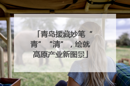 青岛援藏妙笔“青”“清”，绘就高原产业新图景
