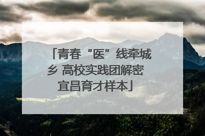 青春“医”线牵城乡 高校实践团解密宜昌育才样本
