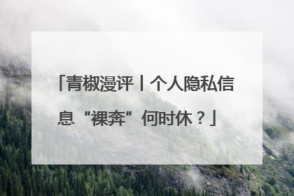 青椒漫评丨个人隐私信息“裸奔”何时休？