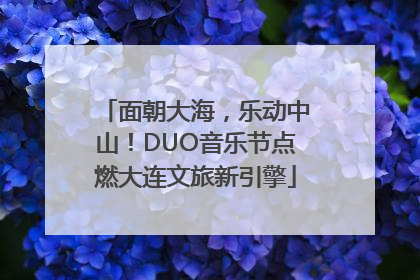 面朝大海，乐动中山！DUO音乐节点燃大连文旅新引擎