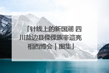 针线上的新国潮 四川盐边县傈僳族非遗亮相西博会｜图集