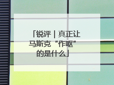 锐评｜真正让马斯克“作呕”的是什么