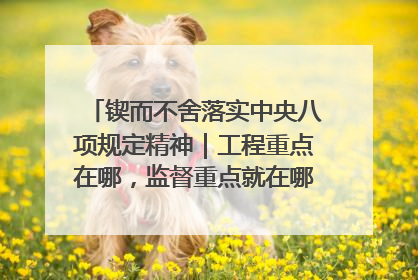 锲而不舍落实中央八项规定精神｜工程重点在哪，监督重点就在哪——广西深化政治监督护航平陆运河建设