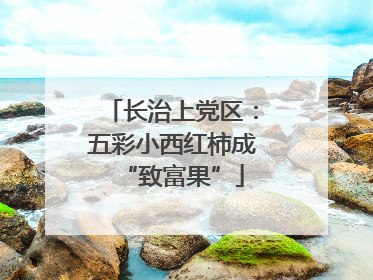 长治上党区：五彩小西红柿成“致富果”