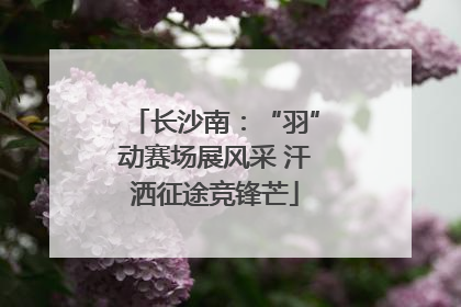 长沙南：“羽”动赛场展风采 汗洒征途竞锋芒