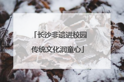 长沙非遗进校园 传统文化润童心
