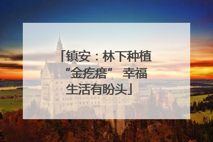 镇安：林下种植“金疙瘩” 幸福生活有盼头