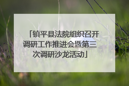 镇平县法院组织召开调研工作推进会暨第三次调研沙龙活动