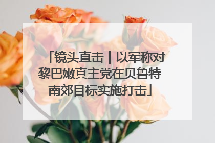 镜头直击｜以军称对黎巴嫩真主党在贝鲁特南郊目标实施打击