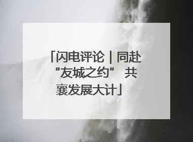 闪电评论｜同赴“友城之约” 共襄发展大计