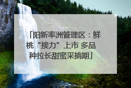 阳新率洲管理区：鲜桃“接力”上市 多品种拉长甜蜜采摘期