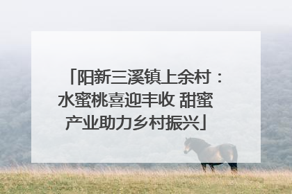 阳新三溪镇上余村：水蜜桃喜迎丰收 甜蜜产业助力乡村振兴