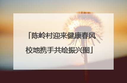 陈岭村迎来健康春风 校地携手共绘振兴图