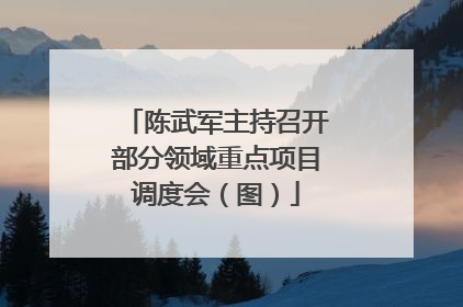陈武军主持召开部分领域重点项目调度会（图）