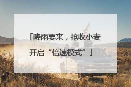 降雨要来，抢收小麦开启“倍速模式”