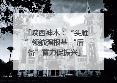 陕西神木：“头雁”领航强根基 “后备”蓄力促振兴