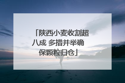 陕西小麦收割超八成 多措并举确保颗粒归仓