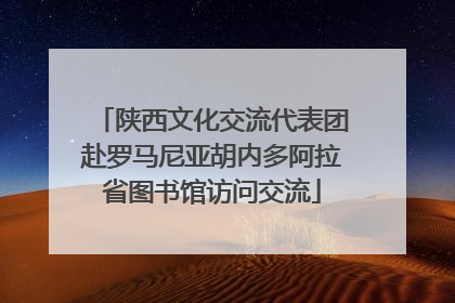 陕西文化交流代表团赴罗马尼亚胡内多阿拉省图书馆访问交流
