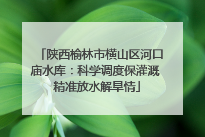 陕西榆林市横山区河口庙水库：科学调度保灌溉 精准放水解旱情