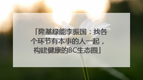 隆基绿能李振国：找各个环节有本事的人一起，构建健康的BC生态圈