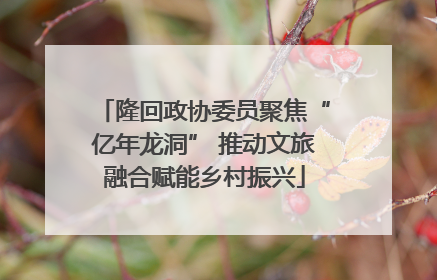 隆回政协委员聚焦“亿年龙洞” 推动文旅融合赋能乡村振兴