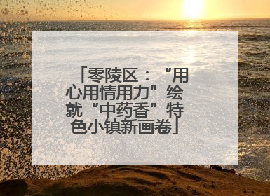 零陵区：“用心用情用力”绘就“中药香”特色小镇新画卷