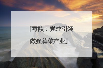 零陵：党建引领 做强蔬菜产业