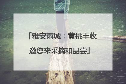 雅安雨城：黄桃丰收 邀您来采摘和品尝