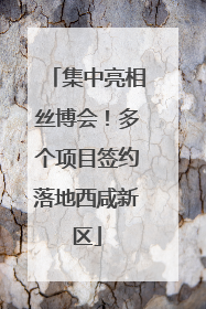 集中亮相丝博会！多个项目签约落地西咸新区