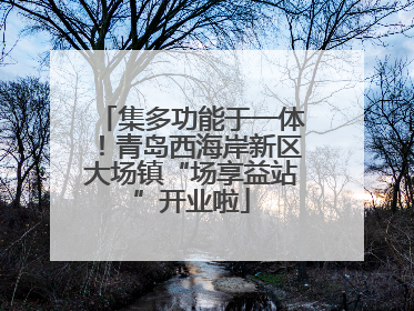 集多功能于一体！青岛西海岸新区大场镇“场享益站”开业啦