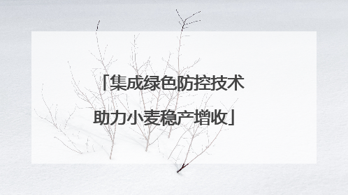 集成绿色防控技术助力小麦稳产增收