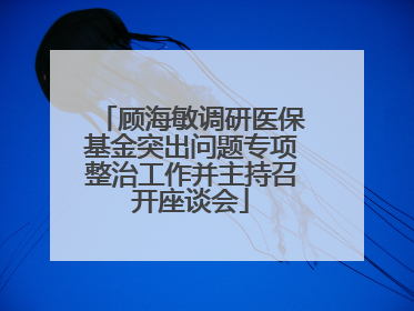 顾海敏调研医保基金突出问题专项整治工作并主持召开座谈会