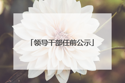 领导干部任前公示