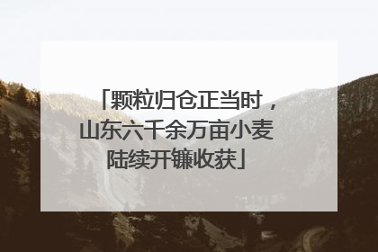 颗粒归仓正当时，山东六千余万亩小麦陆续开镰收获
