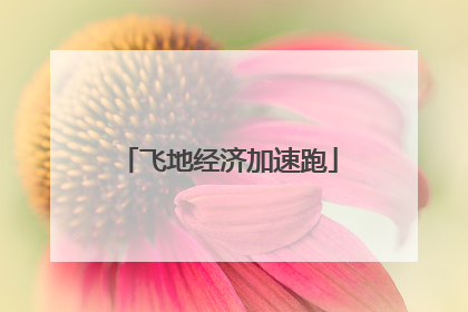 飞地经济加速跑