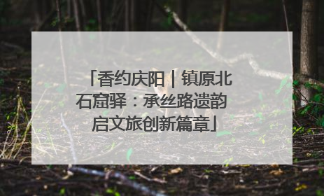 香约庆阳｜镇原北石窟驿：承丝路遗韵 启文旅创新篇章