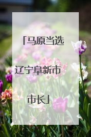 马原当选辽宁阜新市市长