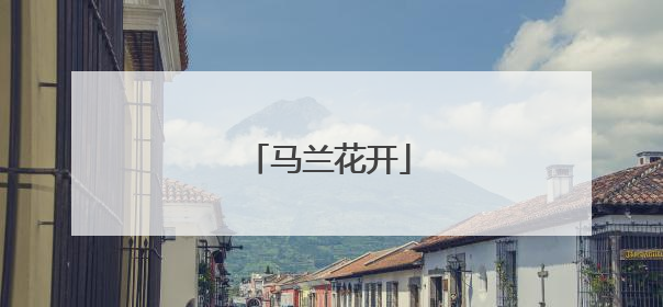 马兰花开