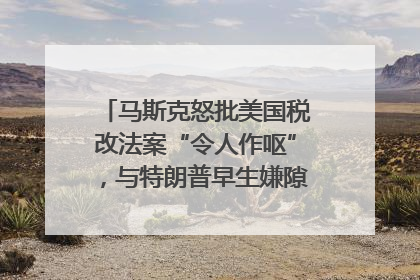马斯克怒批美国税改法案“令人作呕”，与特朗普早生嫌隙？｜国际识局
