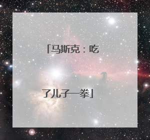 马斯克：吃了儿子一拳