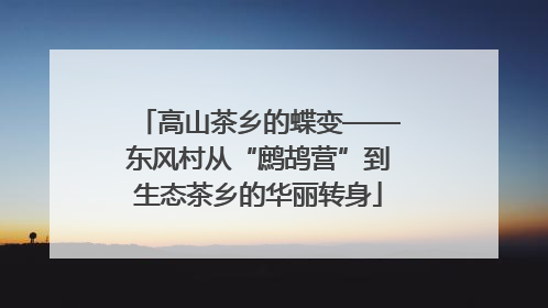 高山茶乡的蝶变——东风村从“鹧鸪营”到生态茶乡的华丽转身
